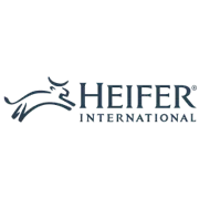 Heifer